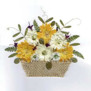 Greeting Card (N - 006)