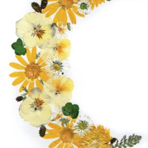 Greeting Card (N - 007)