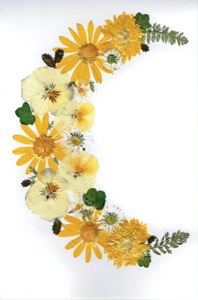 Greeting Card (N - 007)