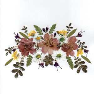 Greeting Card (N - 008)