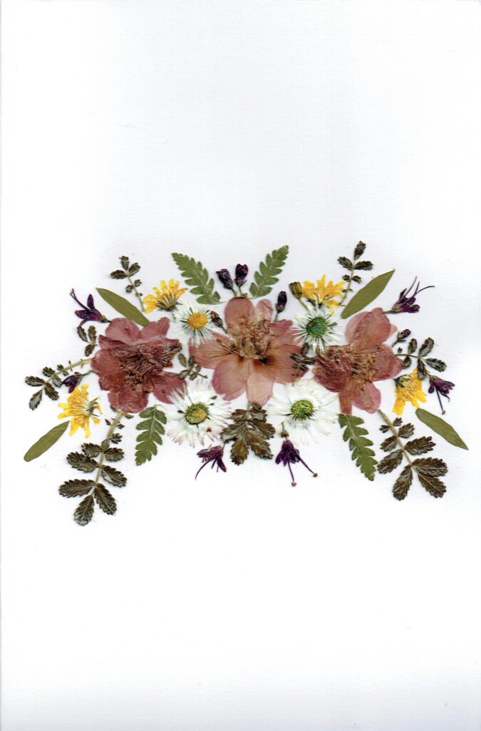 Greeting Card (N - 008)