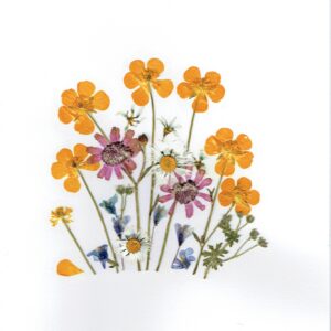 Greeting Card (N – 009)