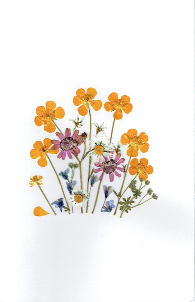 Greeting Card (N – 009)