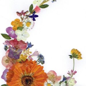 Greeting Card (N - 010)